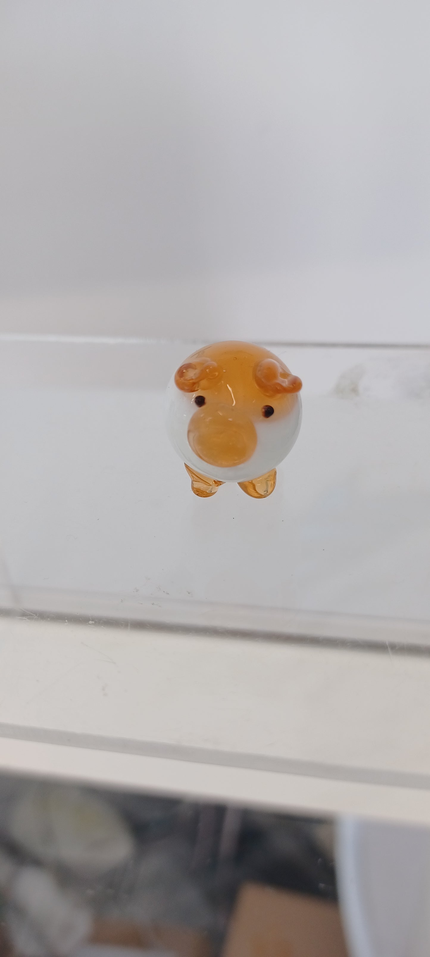 Glass Pig