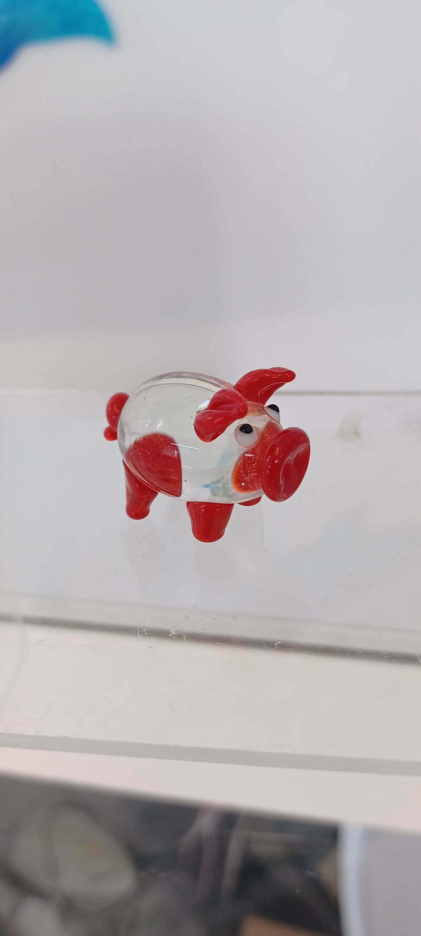 Glass Pig