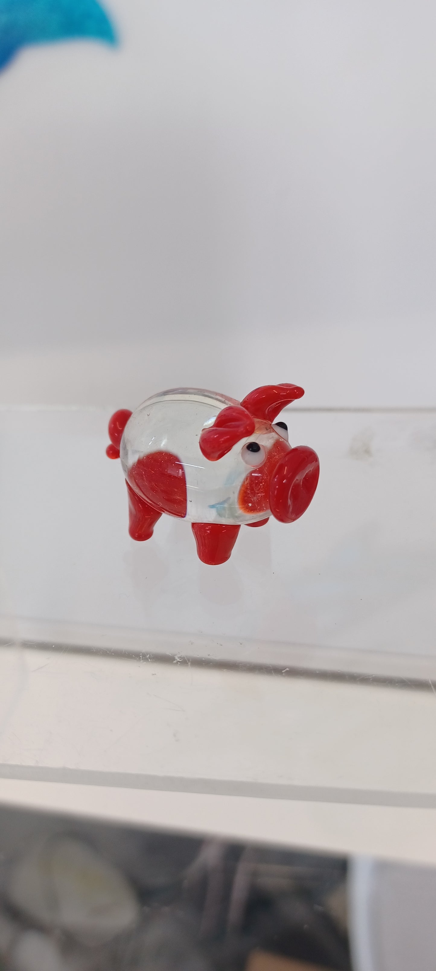 Glass Pig