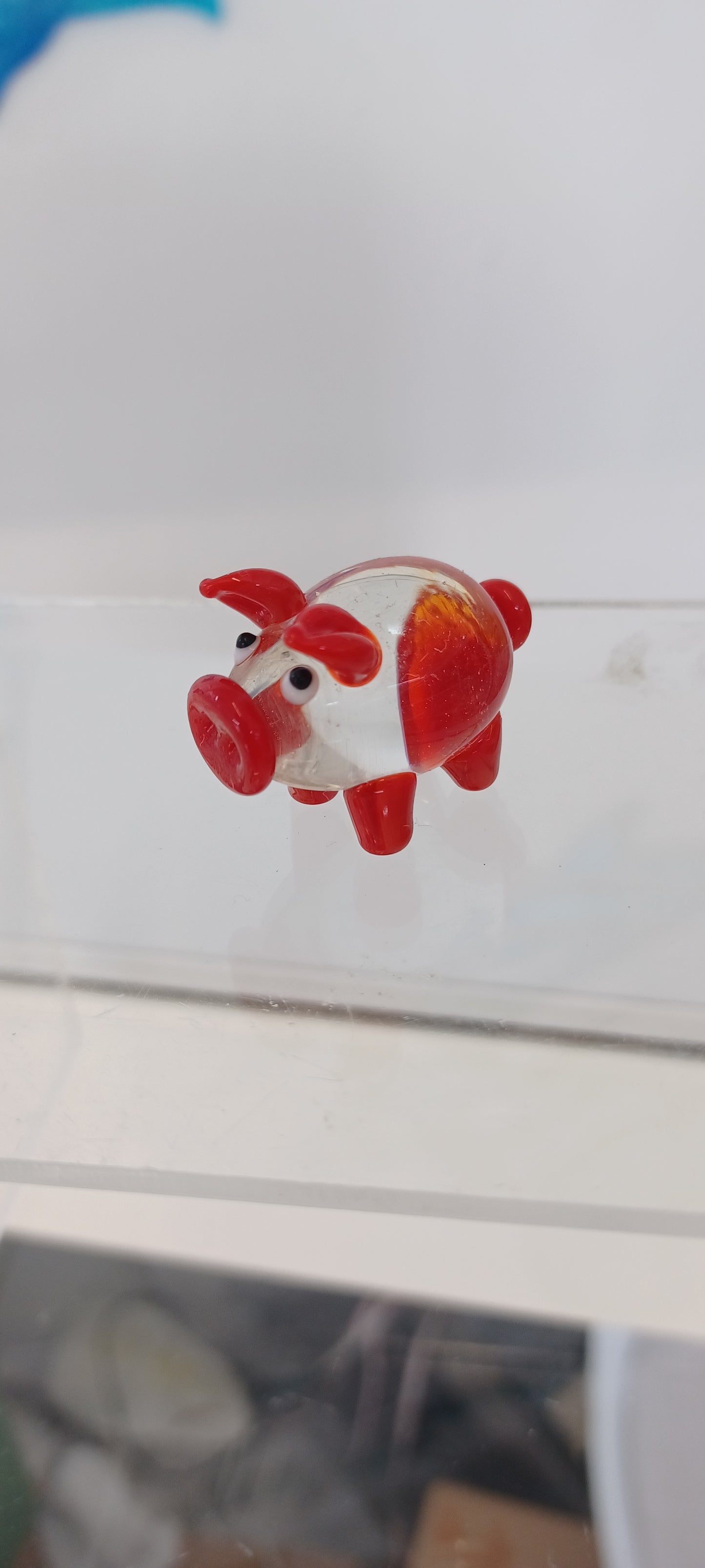 Glass Pig