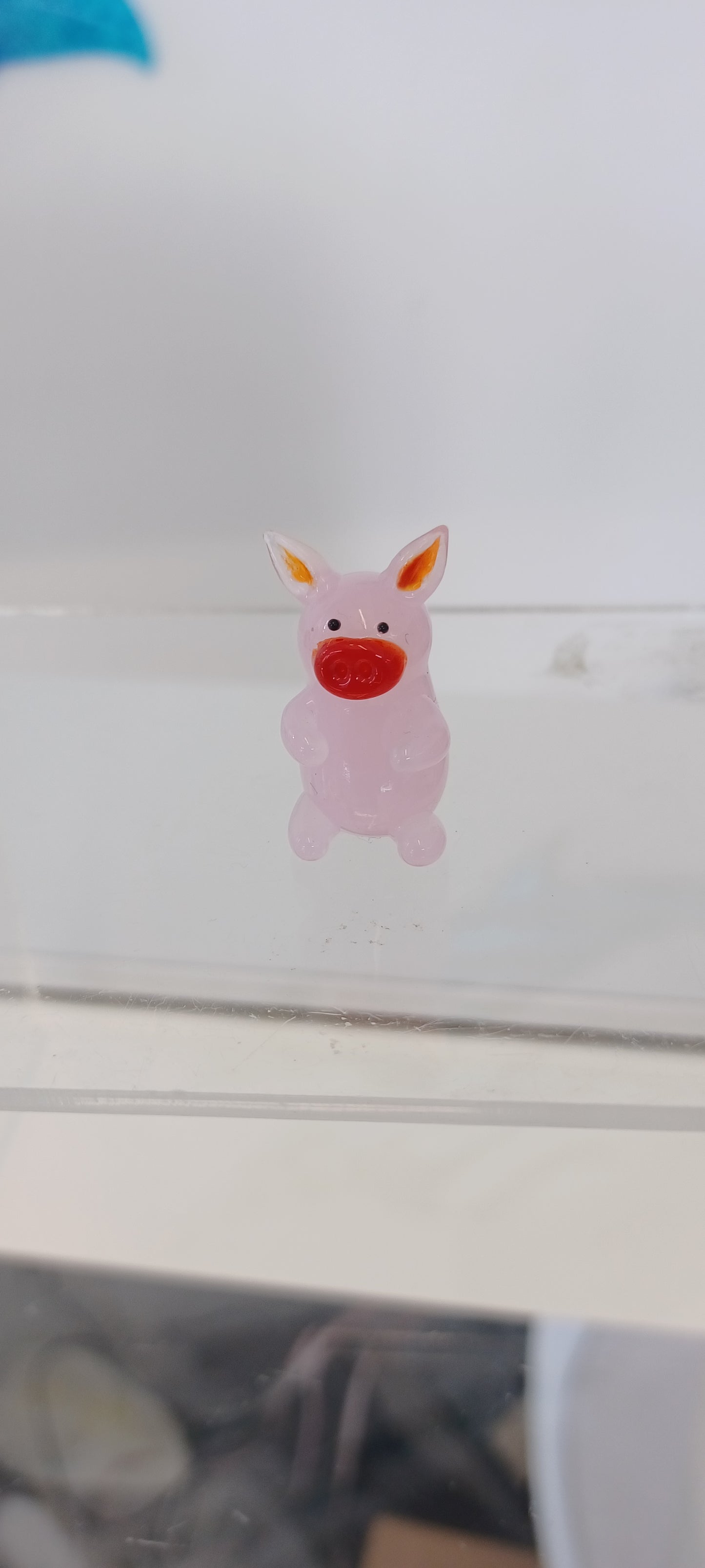 Glass Pig