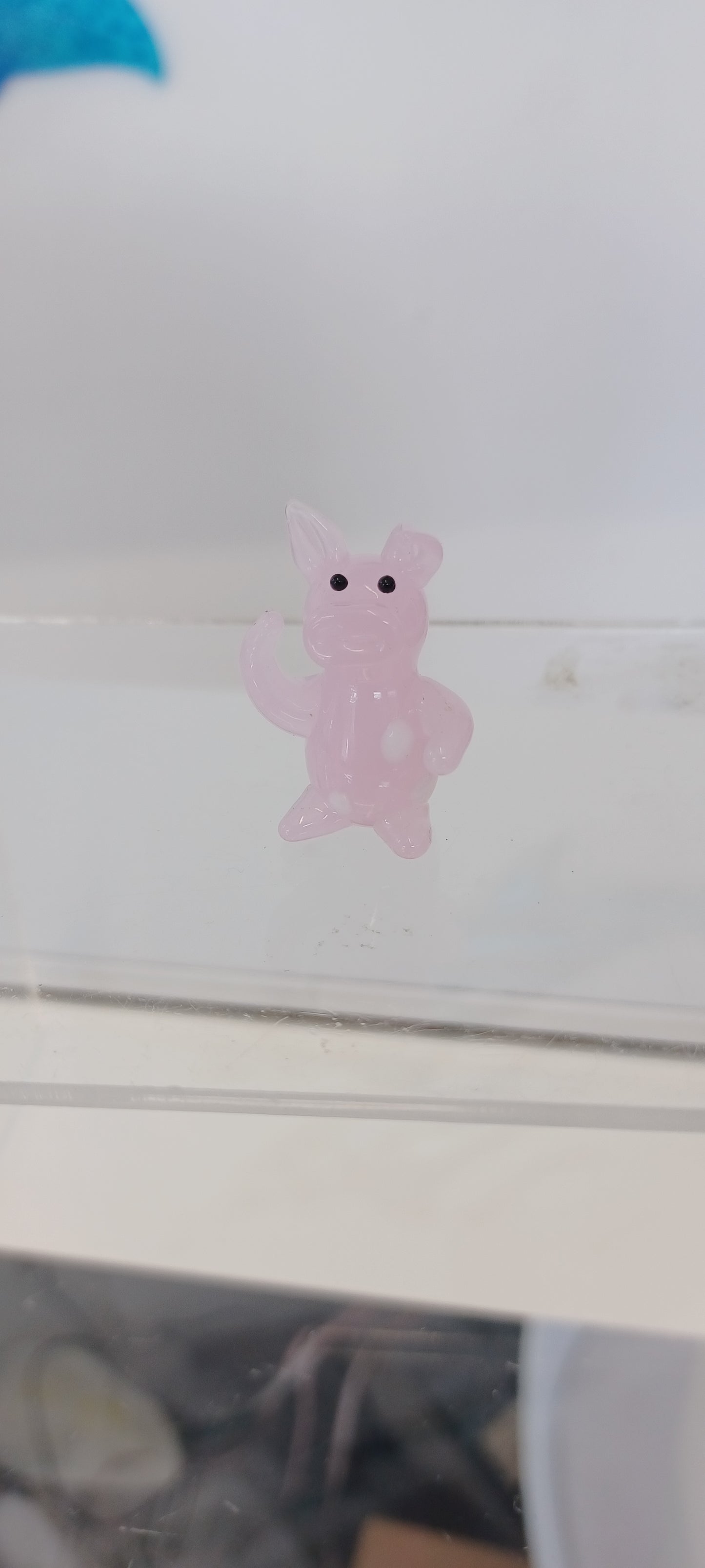 Glass Pig