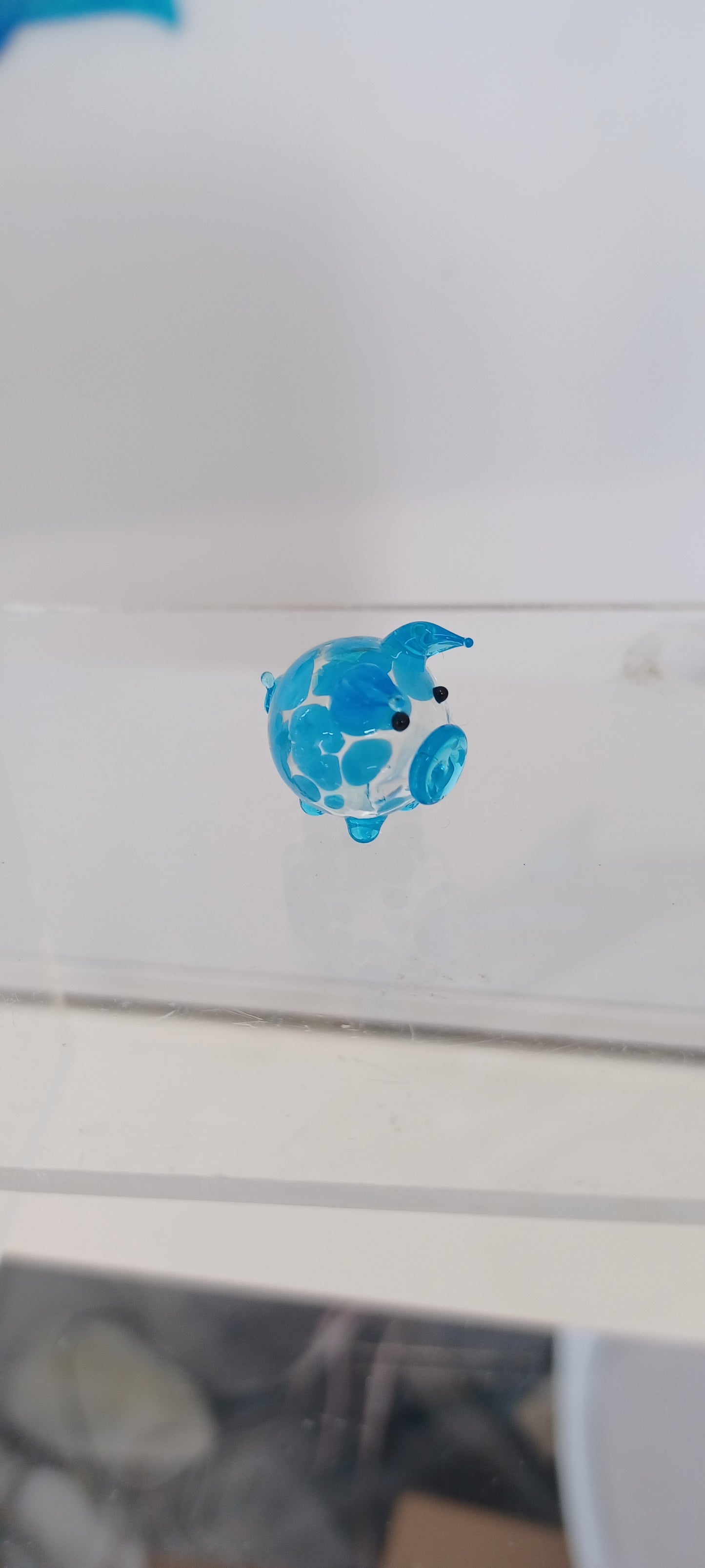 Glass Pig