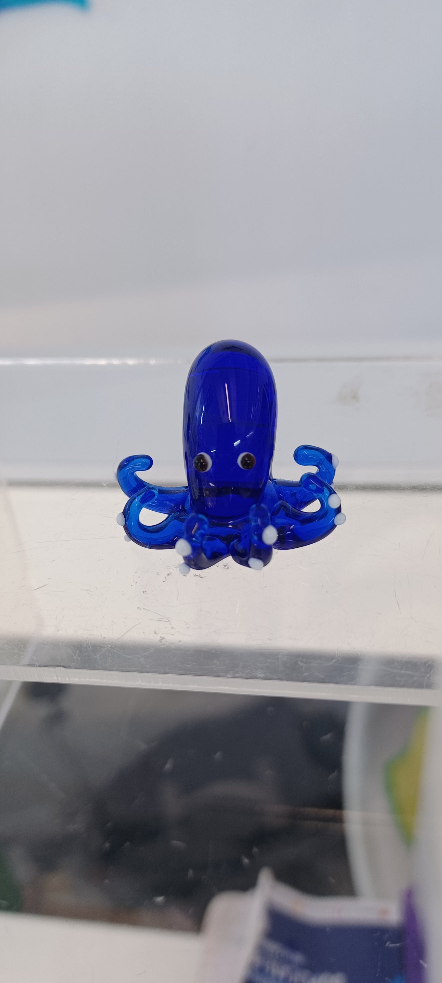 Glass Octopus