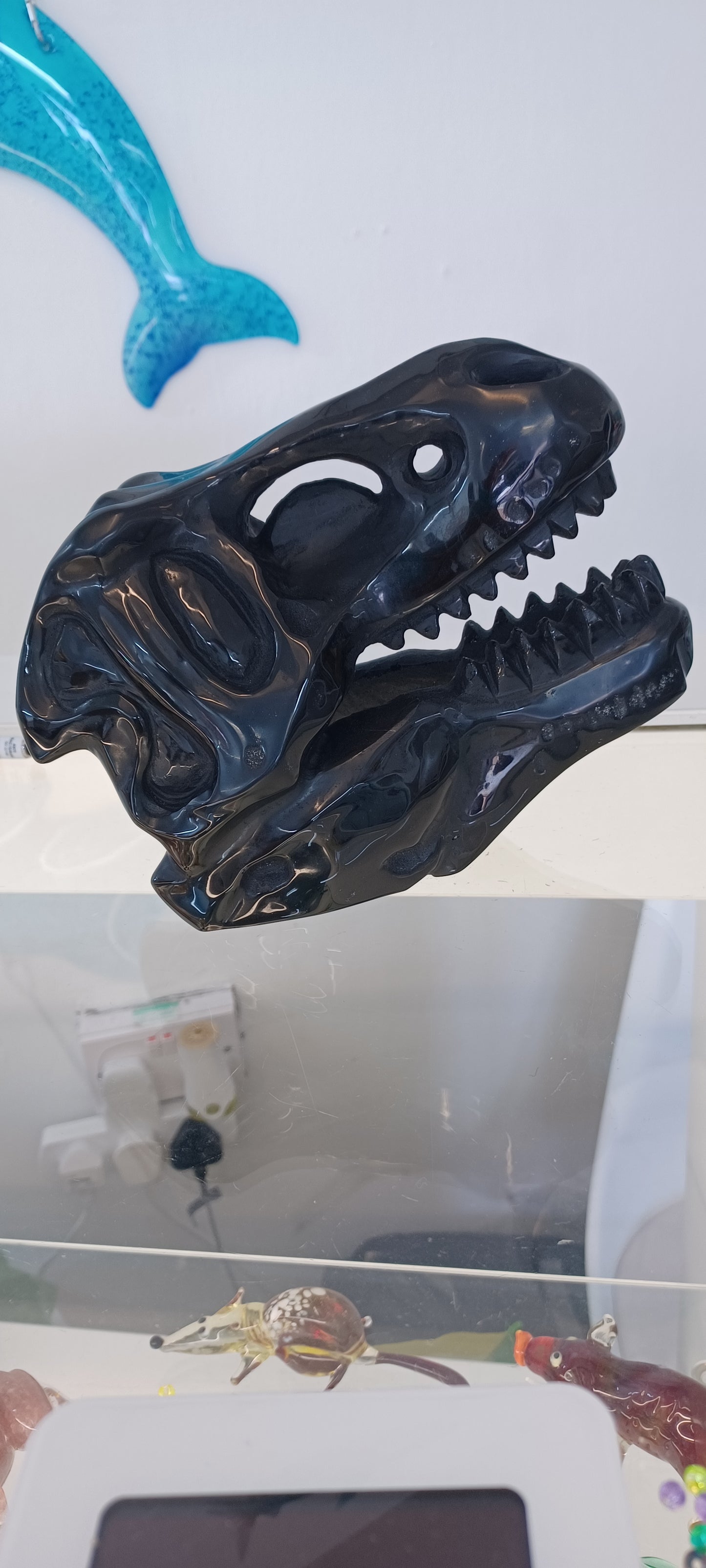 T-rex Skull