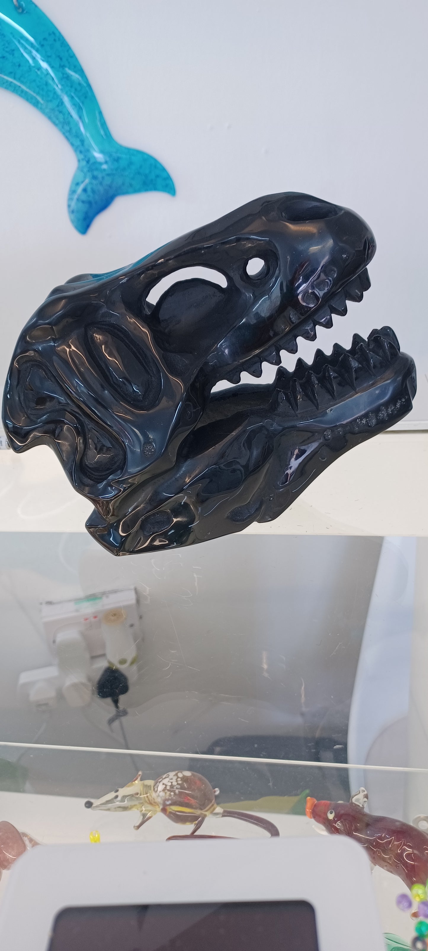 T-rex Skull