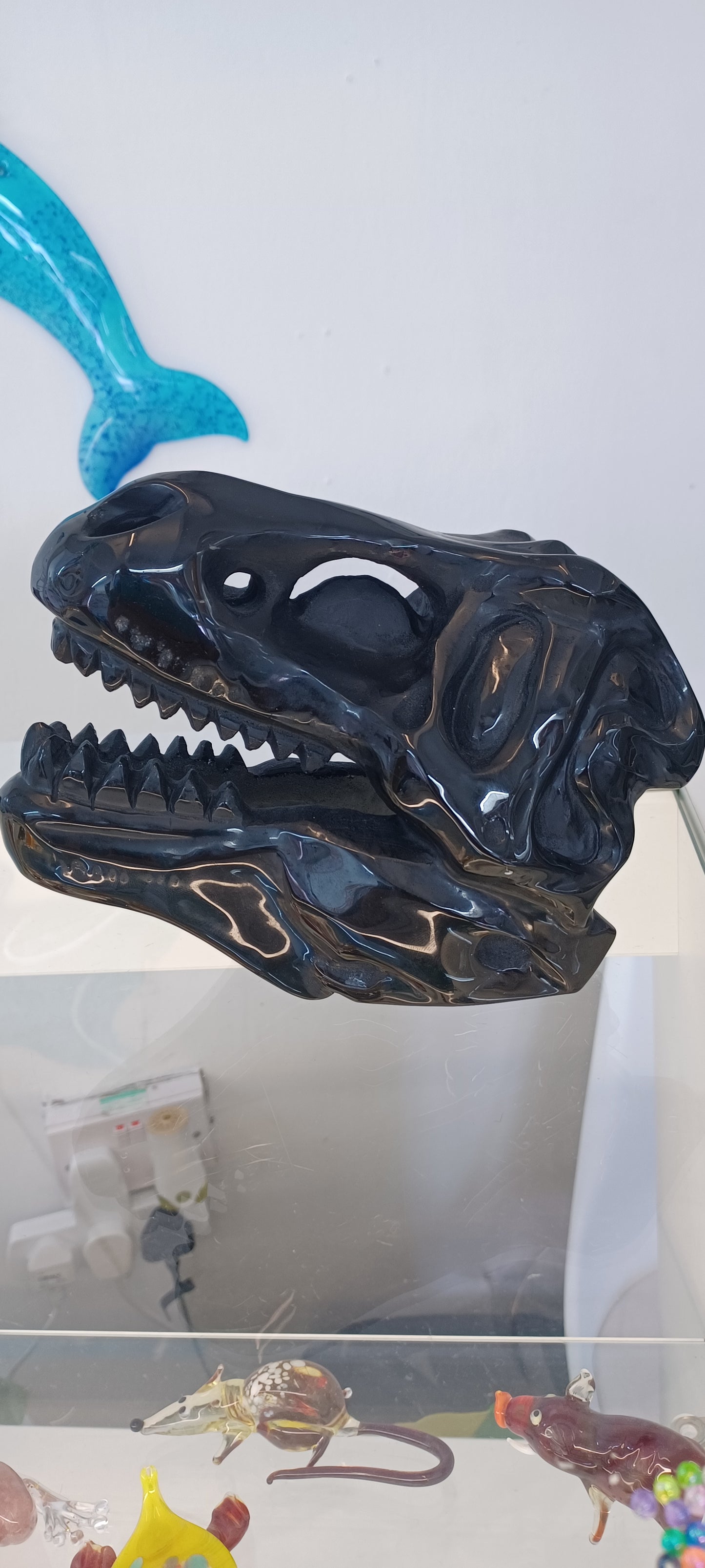 T-rex Skull