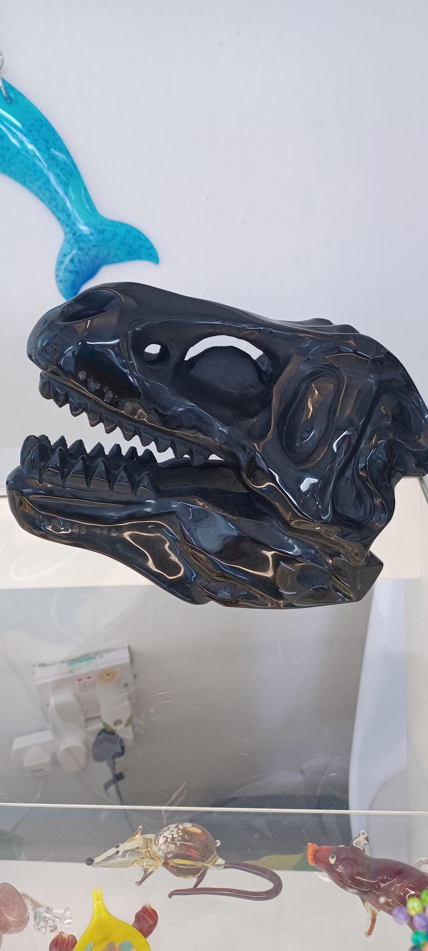 T-rex Skull