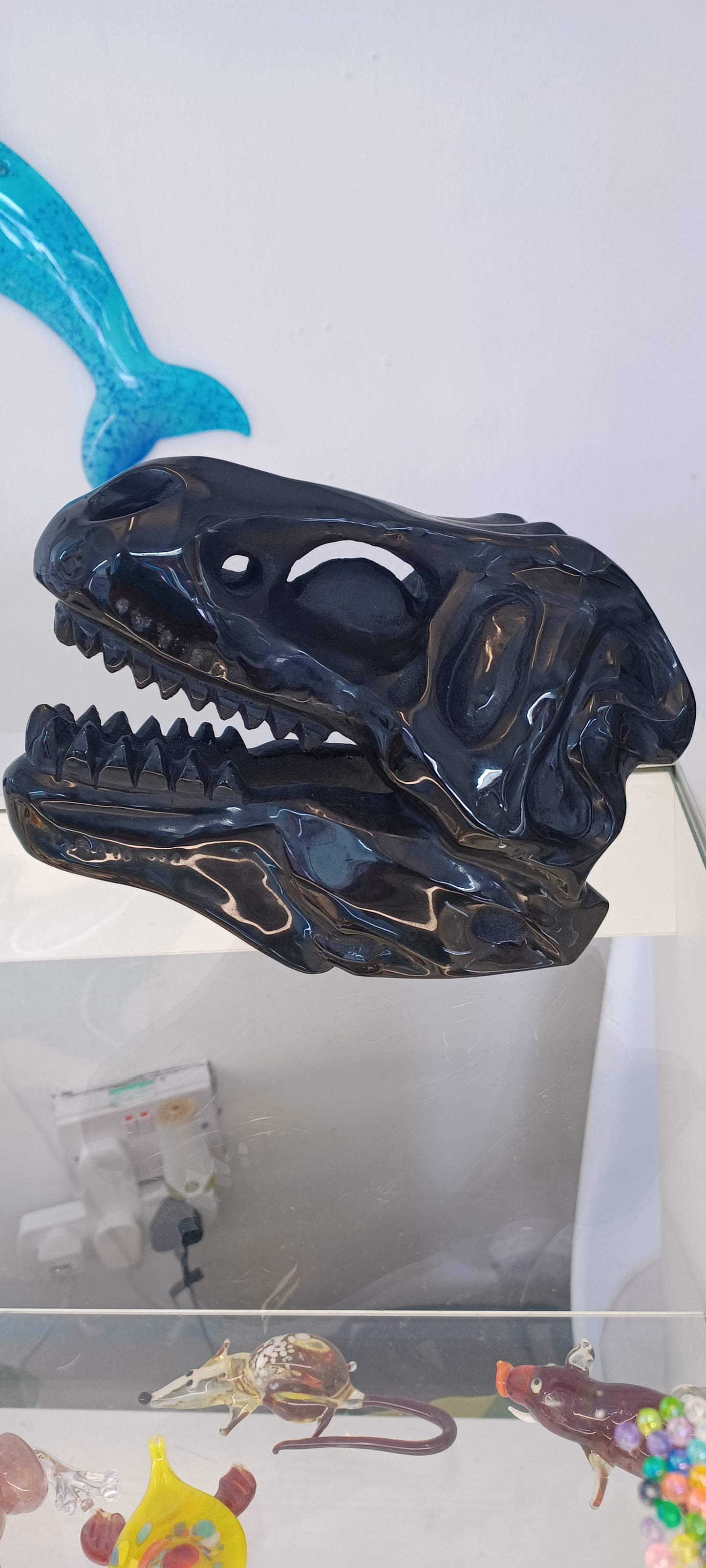 T-rex Skull