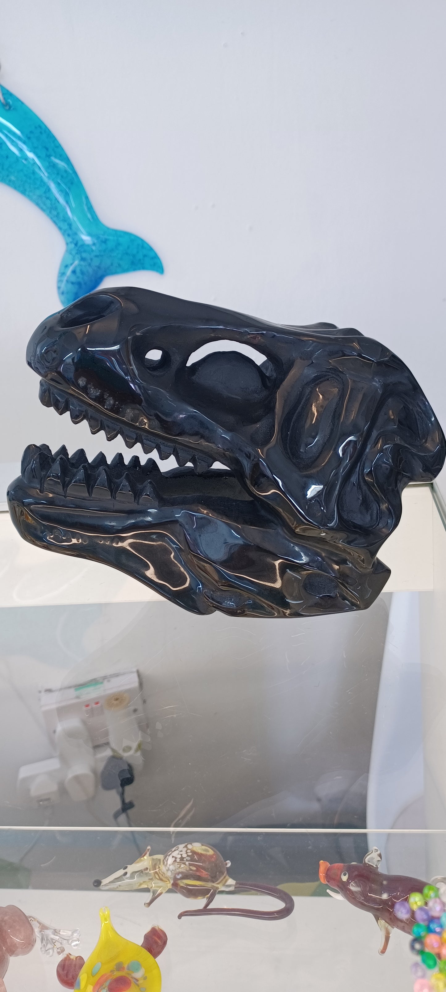 T-rex Skull