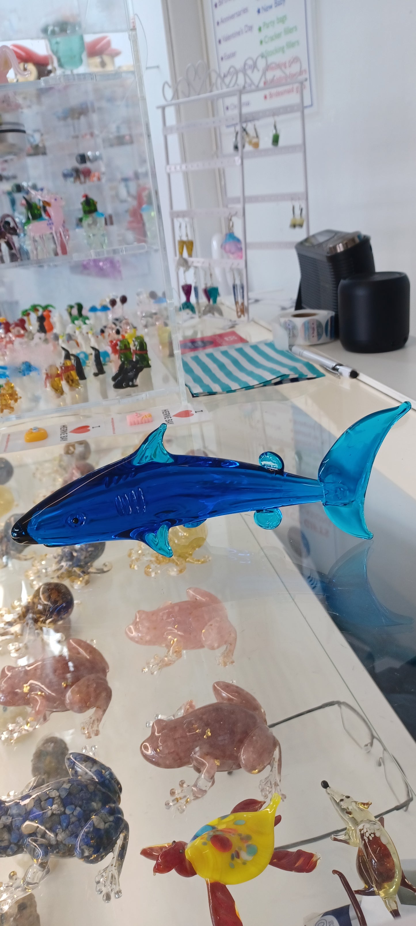 Glass Shark