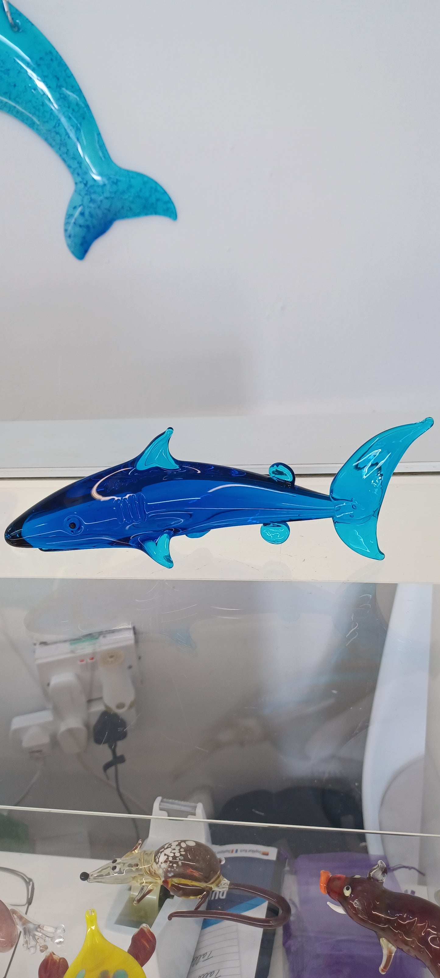 Glass Shark