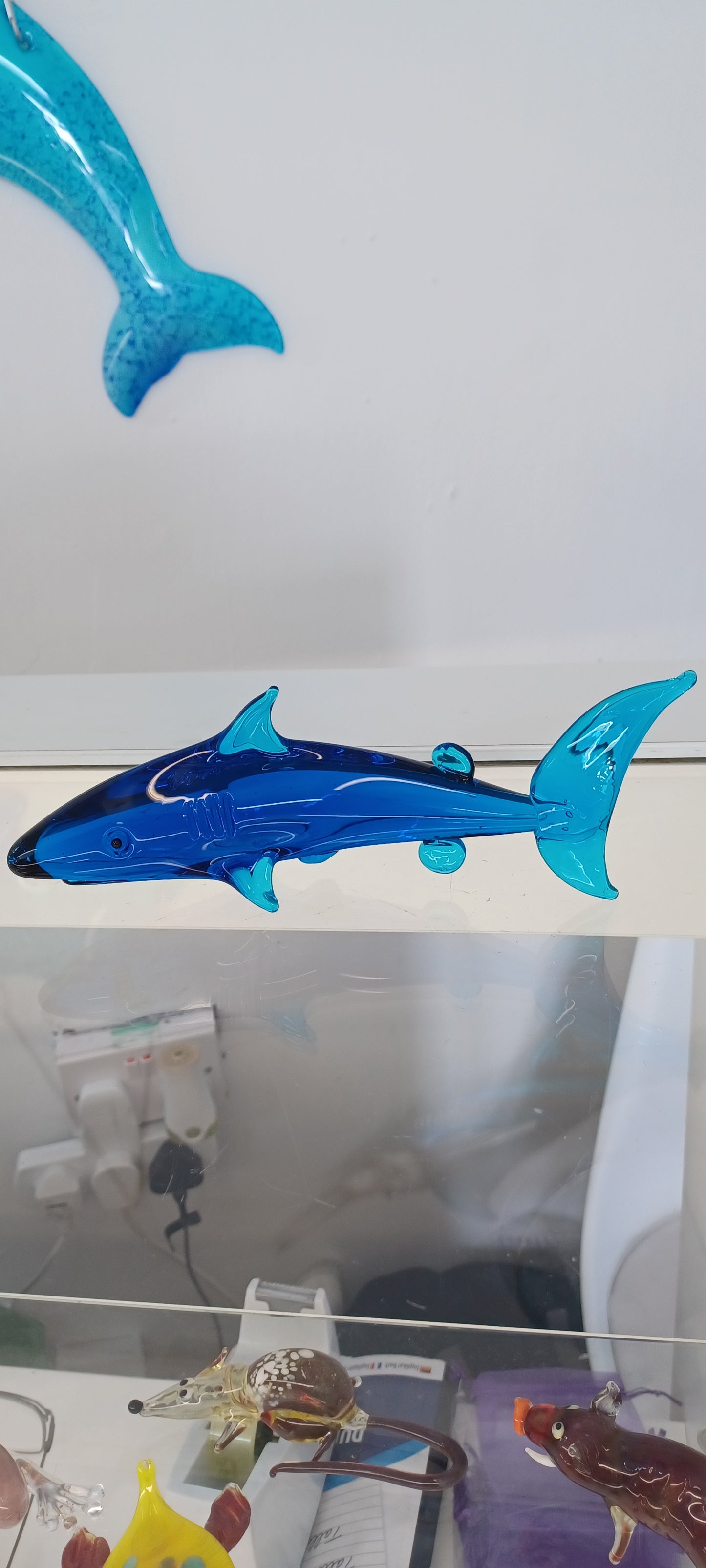 Glass Shark