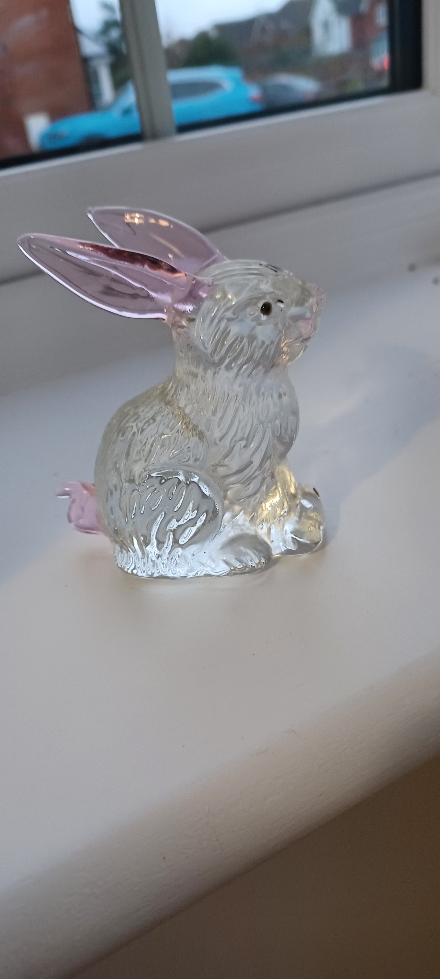 Glass Ŕabbit