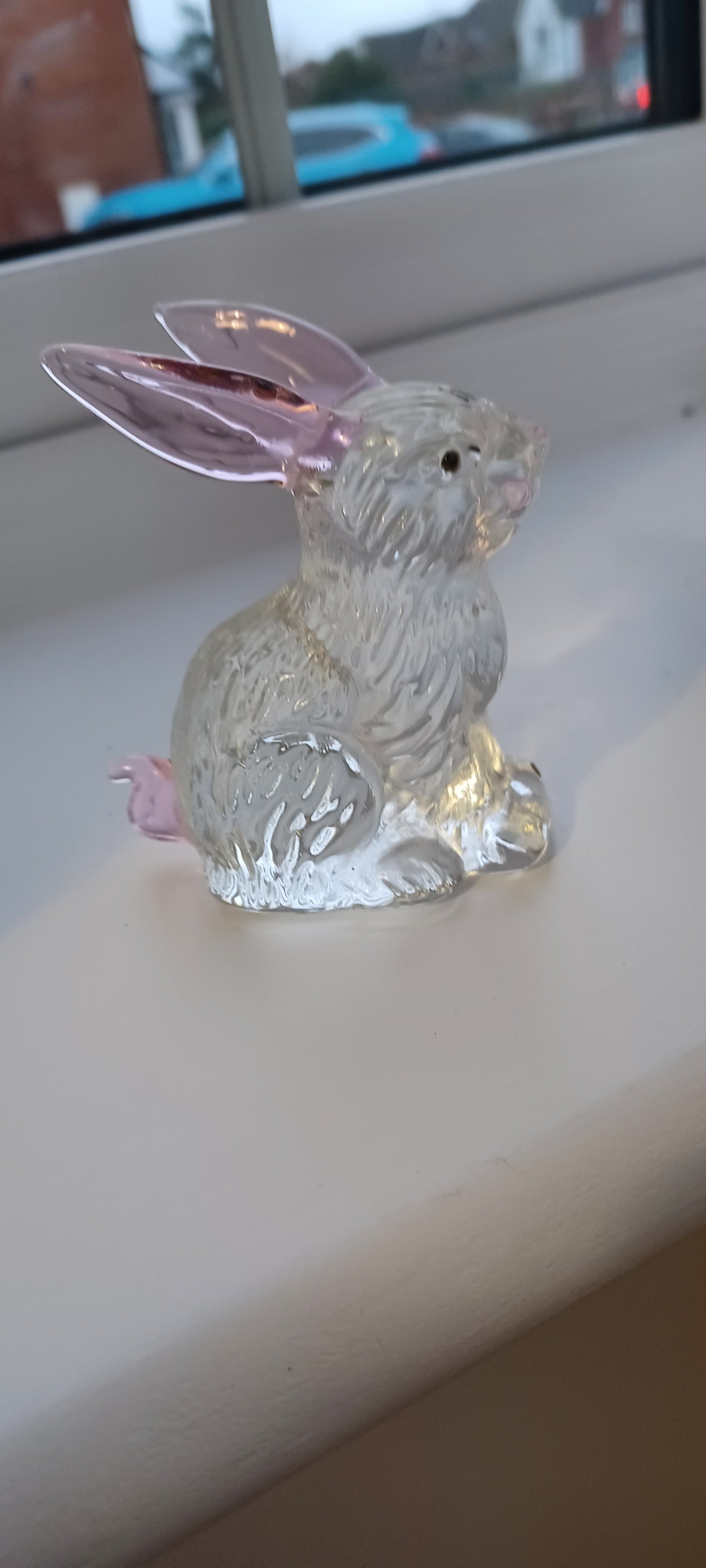 Glass Ŕabbit