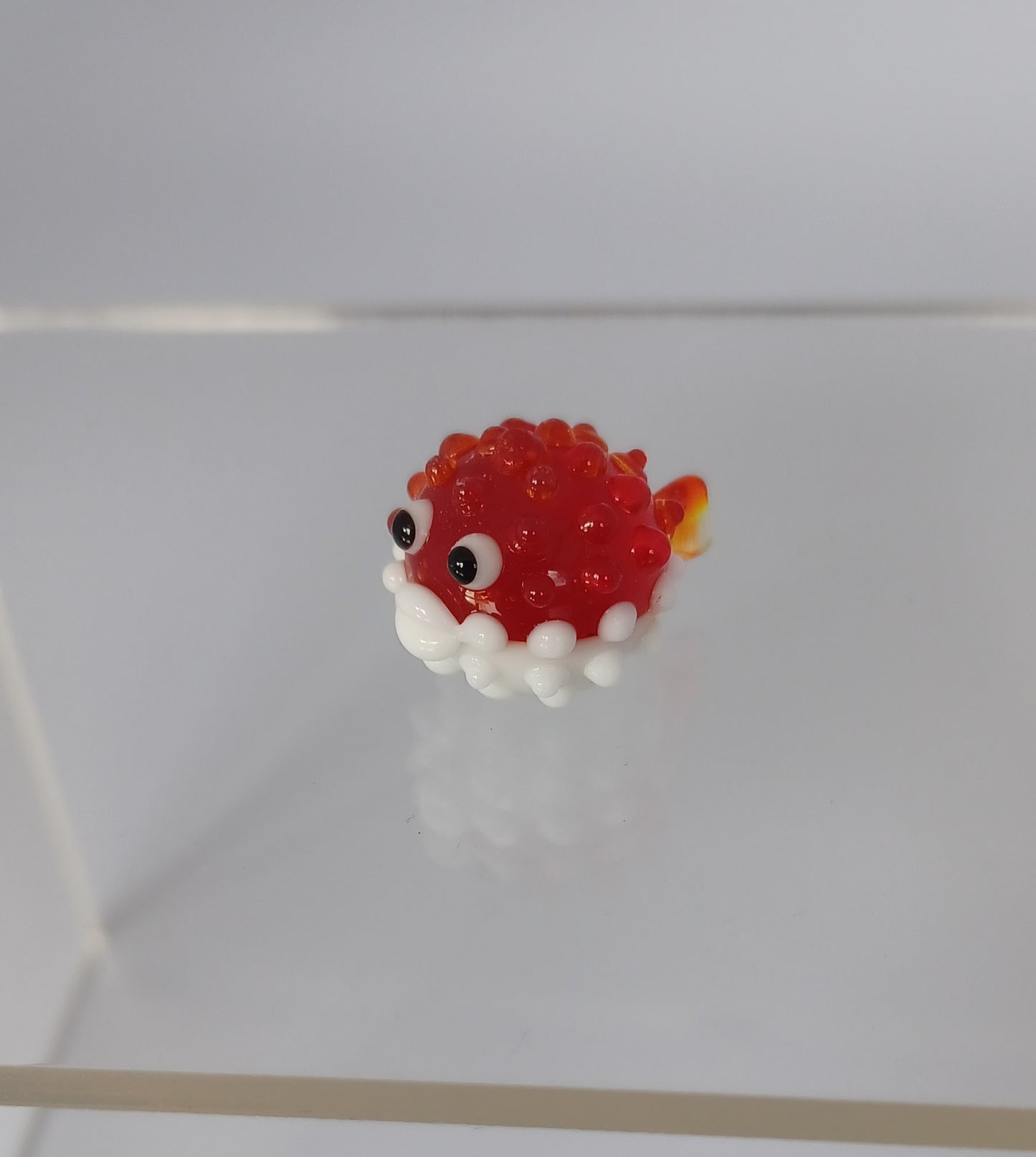 Glass Fish