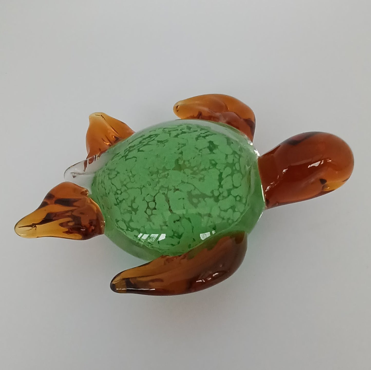 Glass Turtle