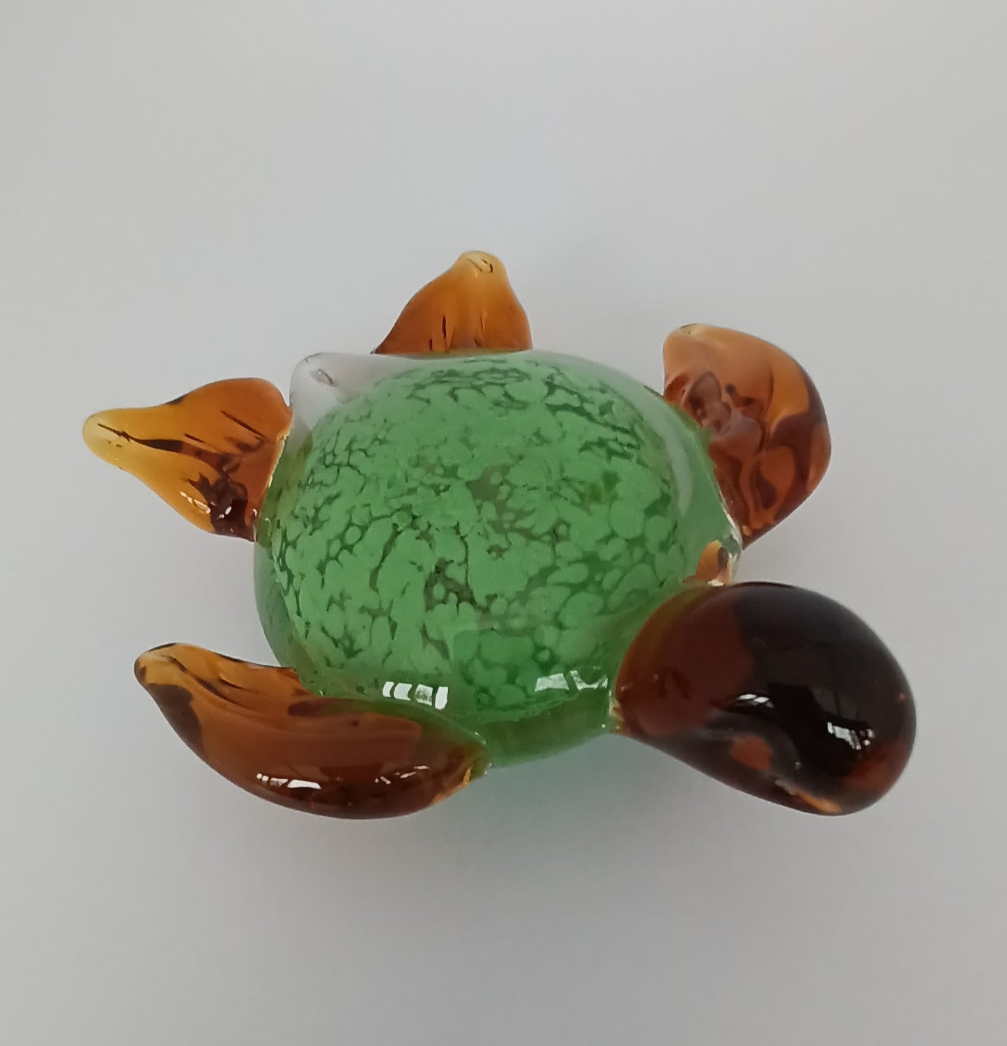 Glass Turtle