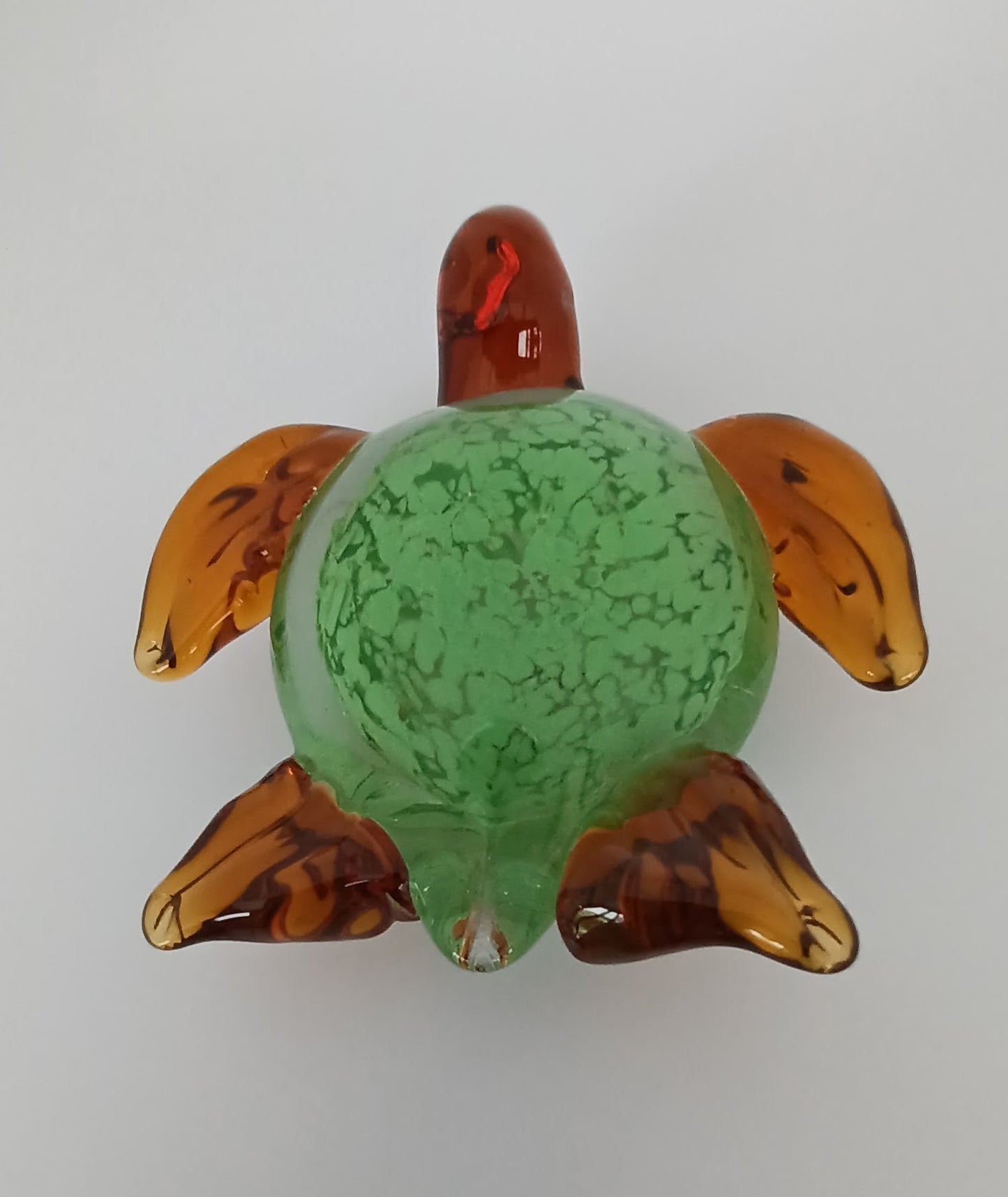 Glass Turtle