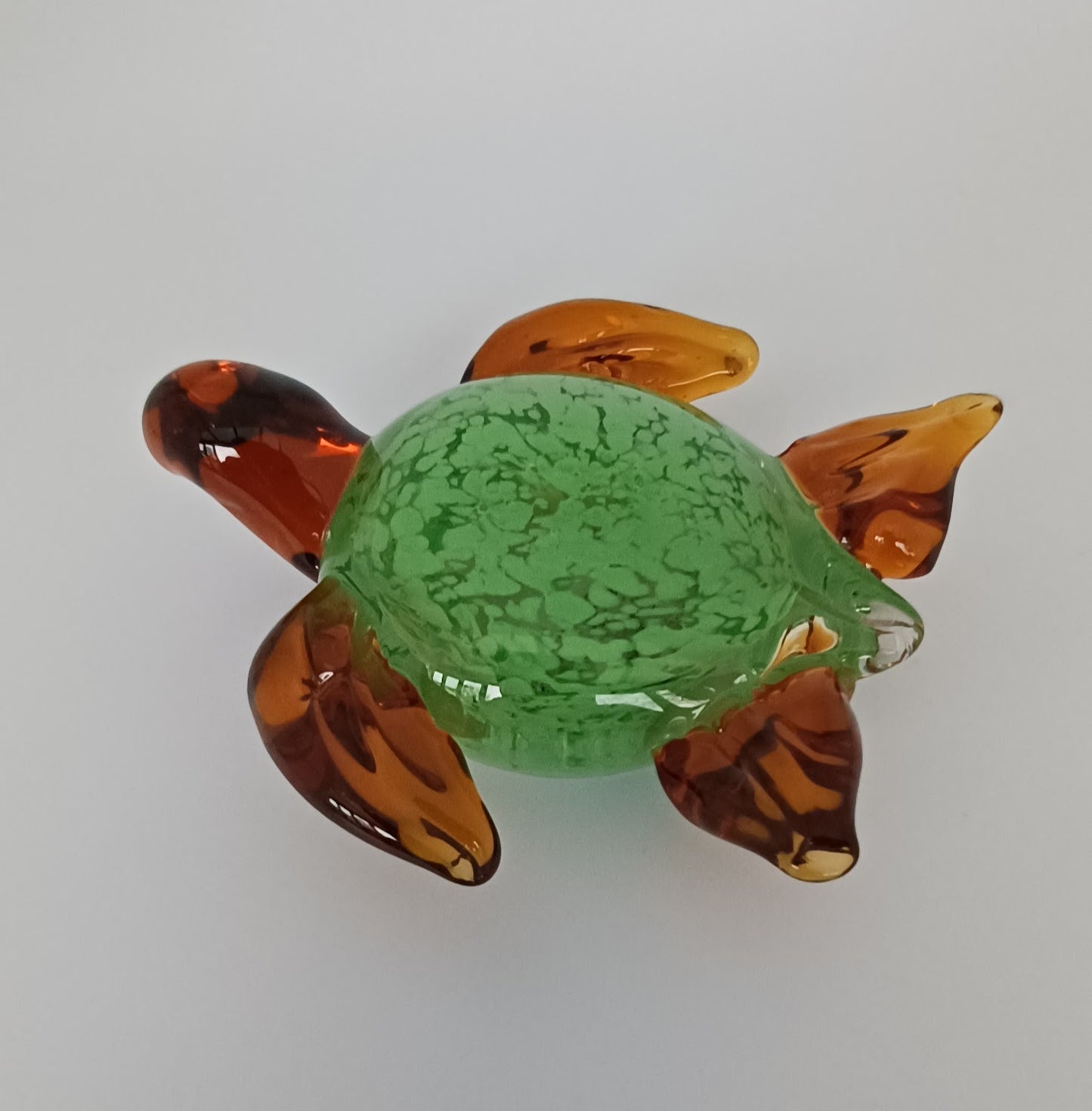 Glass Turtle